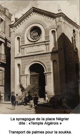Synagogue et palmes soukka