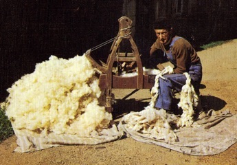 Cardeur de laines